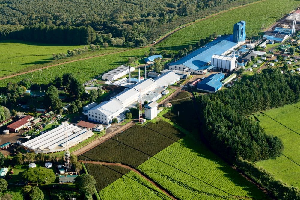 James Finlay Kenya a leading producer and supplier of Kenyan tea