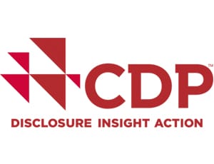 CDP Disclosure Insight Action