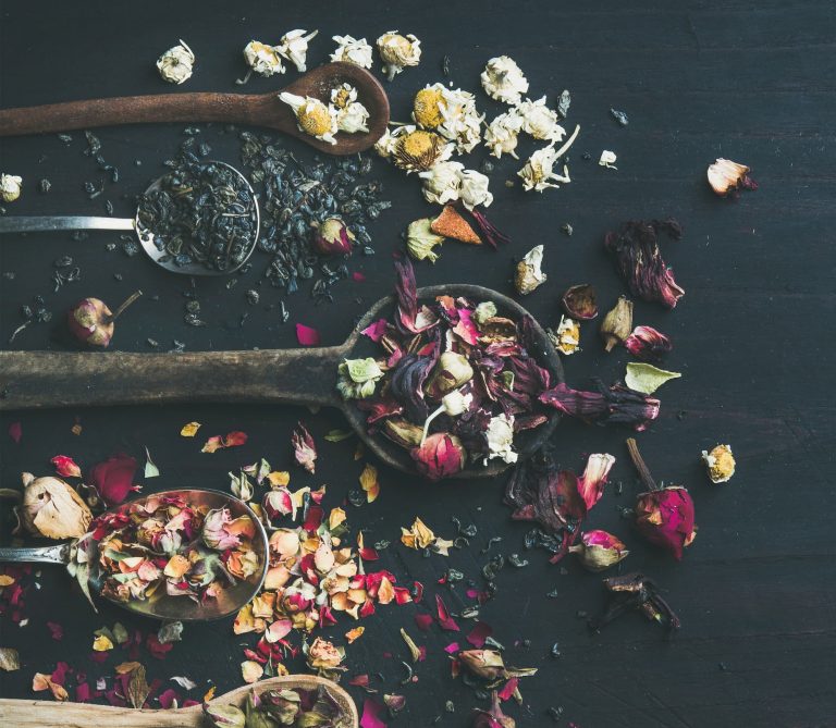 Botanical tea leaves and ingredients in spoons