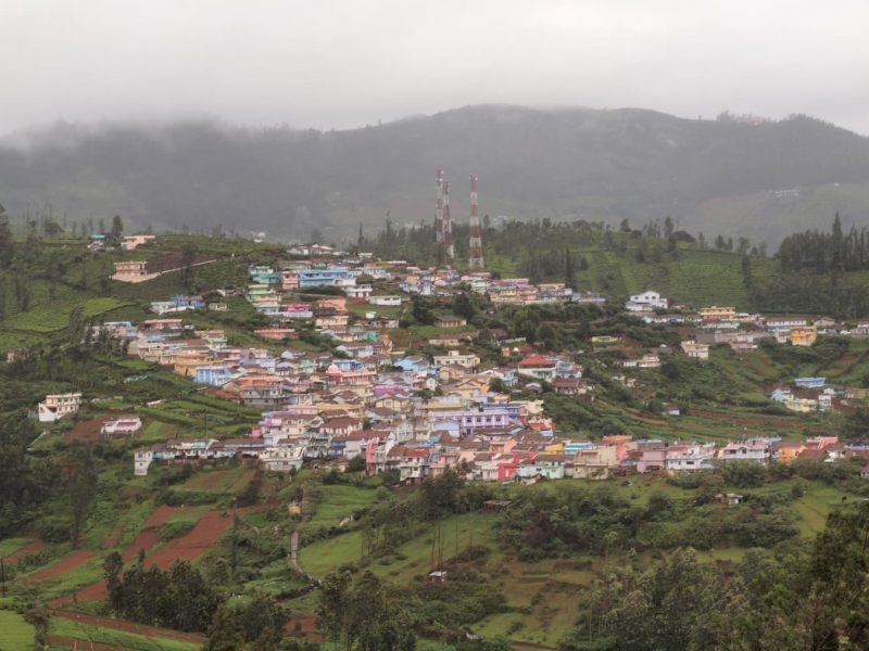 finlays tea landscape of chinese town