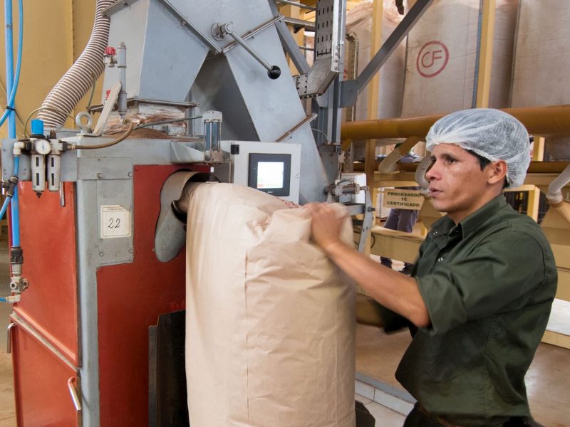 employee working in Casa Fuentes tea factory