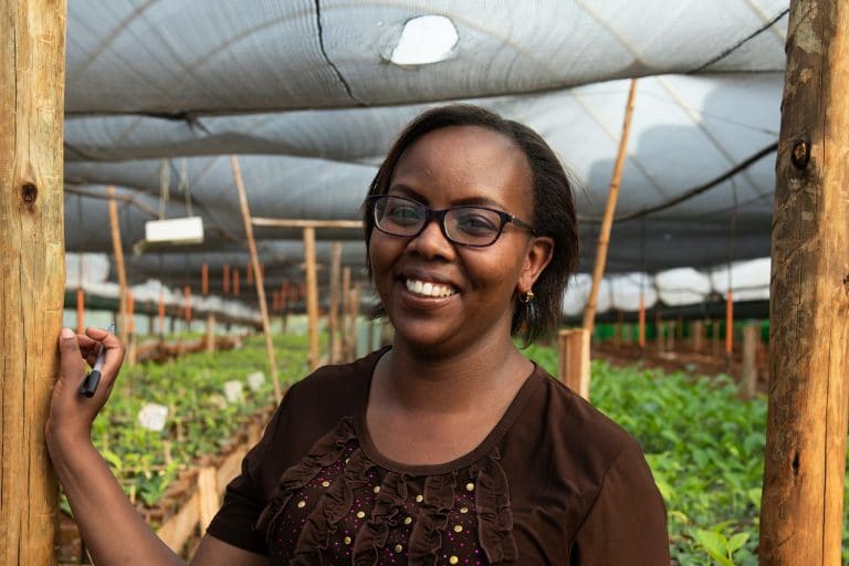 finlays kenya employee standing in tea farm