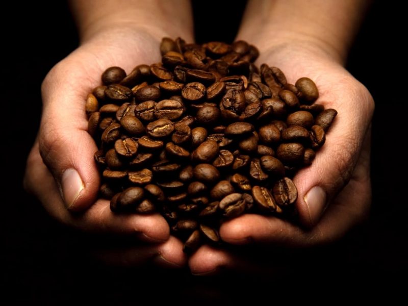 Hands full with coffee beans