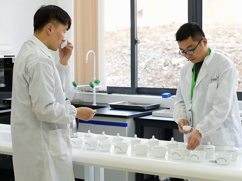 Tea cupping process by staff