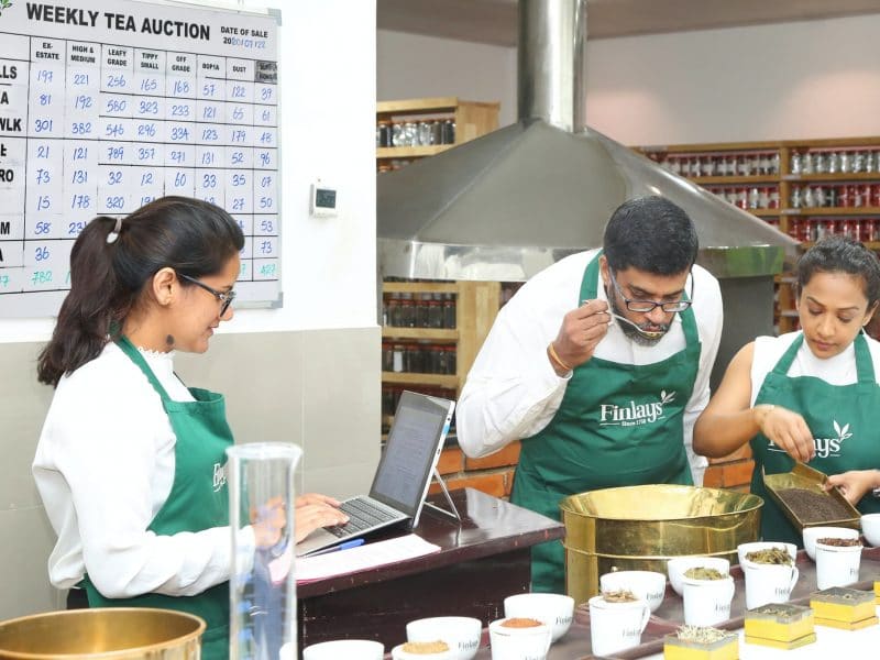 employees tasting tea samples