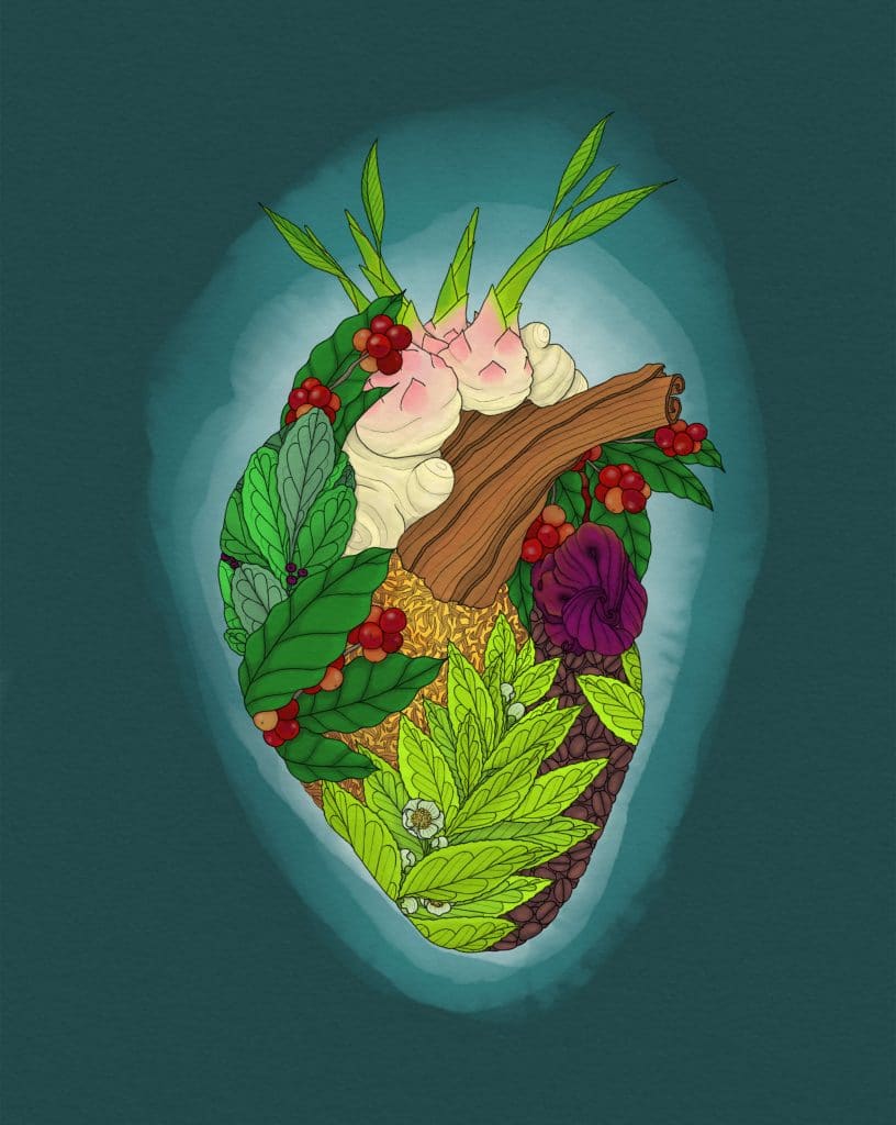 Human heart drawn with plants and botanical images - functional food and beverage trends