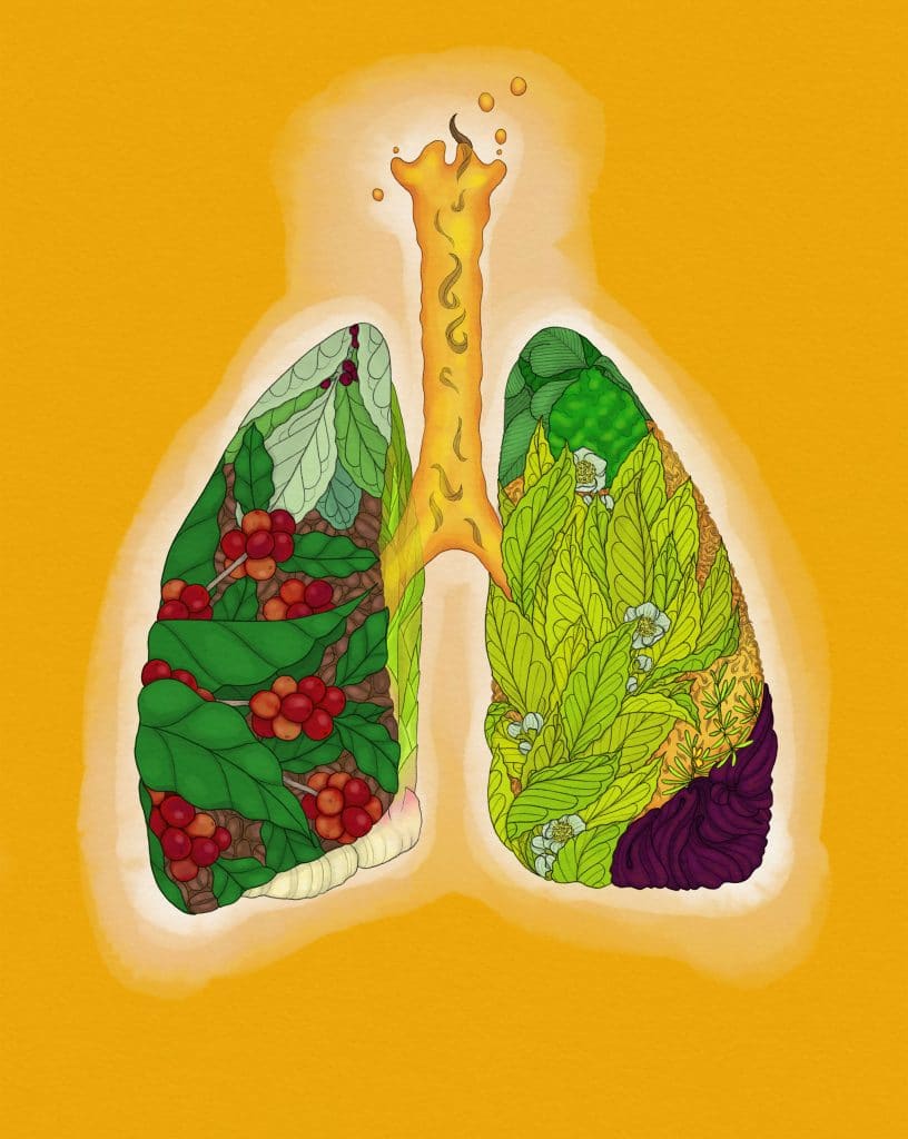 Lung illustration - Functional foods, a once in a generation trend?