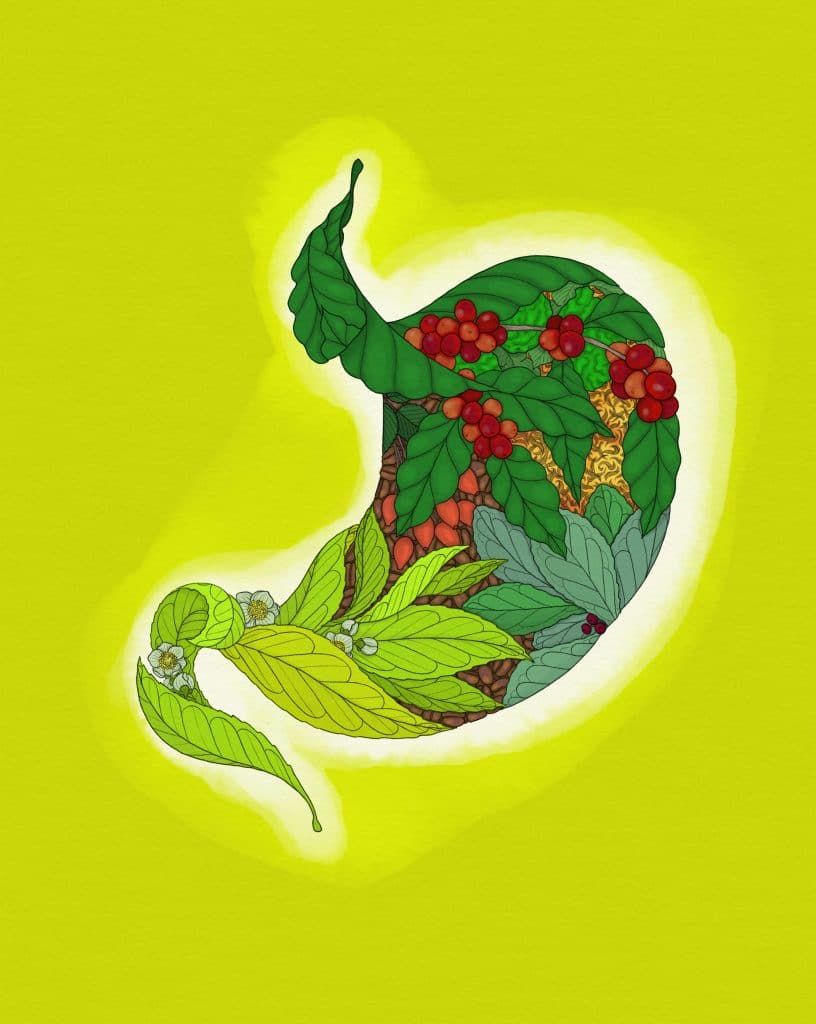 Stomach drawn with plants and botanical images