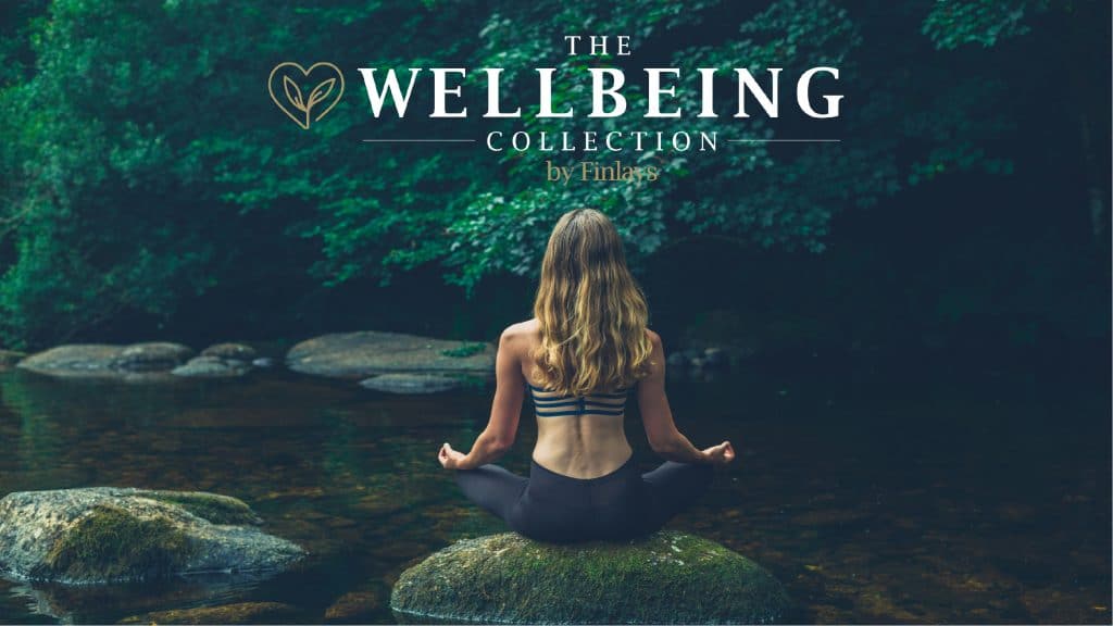 The Wellbeing Collection - Finlays range of premium tea extracts