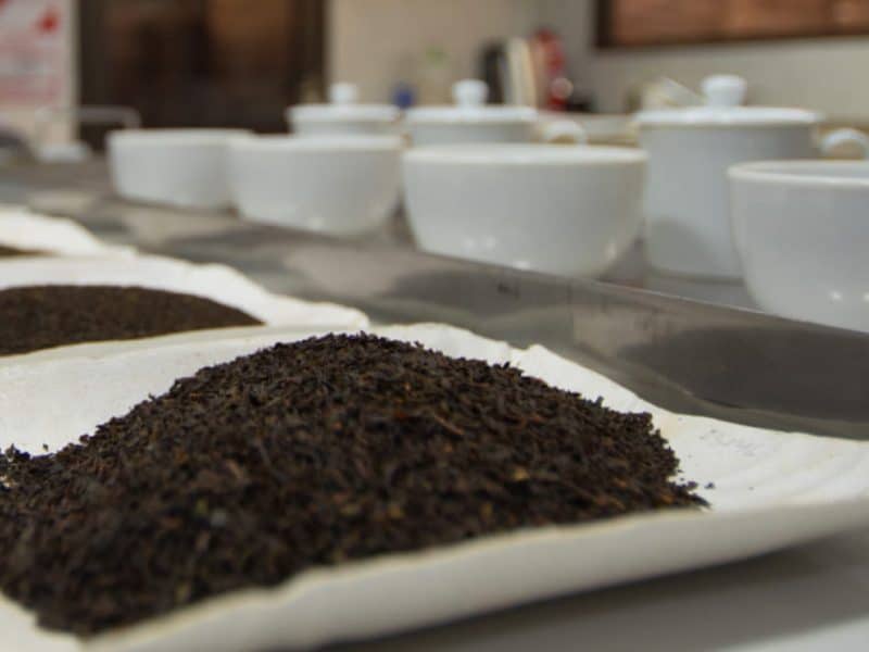 Finlays Argentina black tea leaves