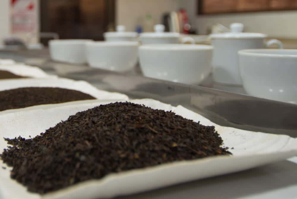 Finlays Argentina tea leaves