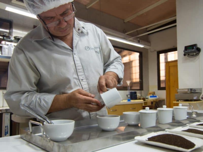 Finlays Argentina tea tasting