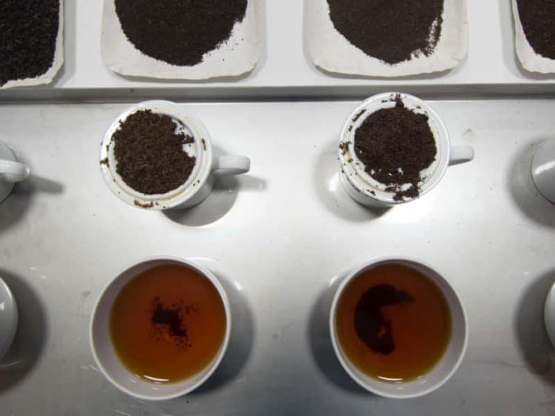 Finlays Argentina black tea tasting with samples in cups