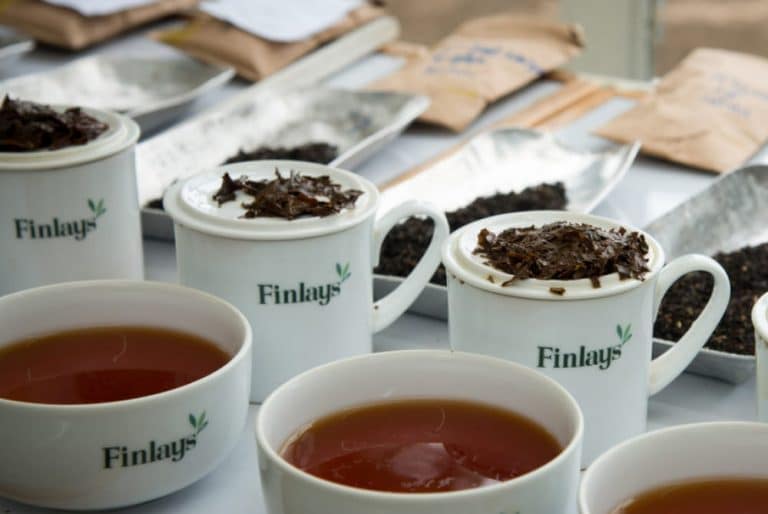 Finlays kenya tea in cups for tea tasting