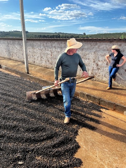 Coffee drying at COOMAP