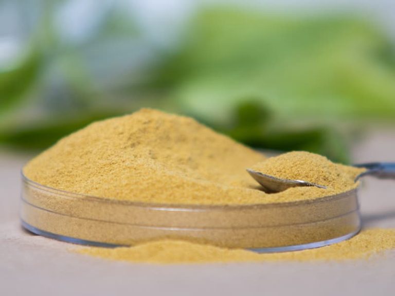 Glass dish of Finlays tea powder