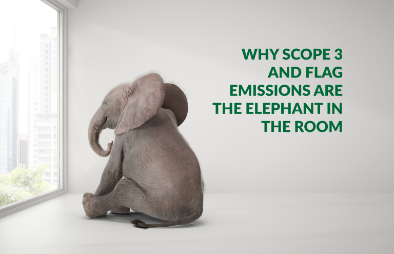 An elephant in an empty room