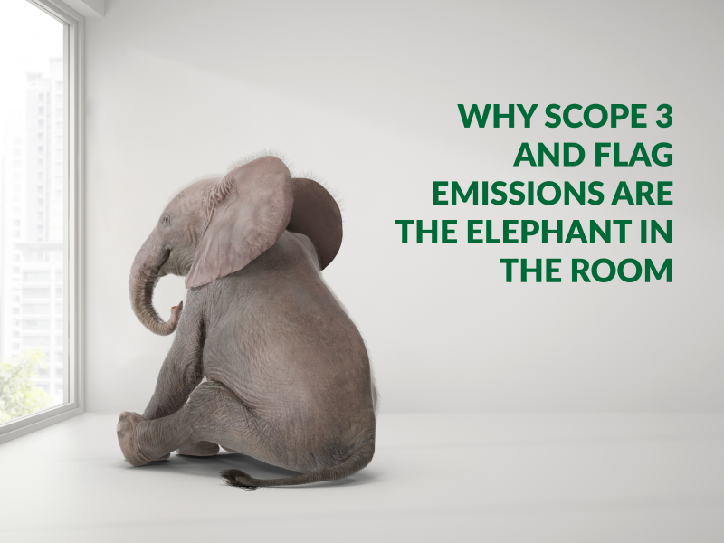 An elephant in an empty room